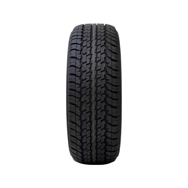 Dunlop_tyres_at22_white