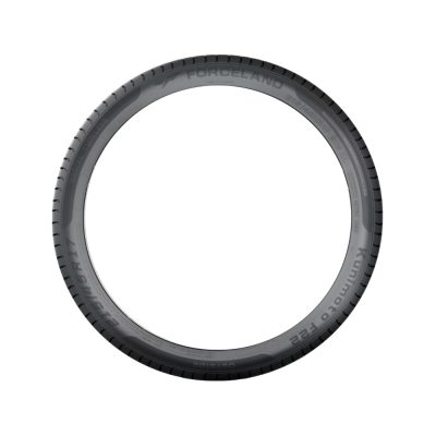 255/45R20 105W F22 EV W-SILENT (26)
